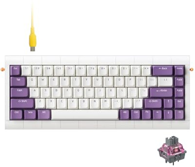 KBDcraft 02Lilith Q 65% 5.5° Ergonomic Keyboard with OEM Keycap, Lego-Compatible Case, Gasket Mount, Wired, RGB, Hot-Swappable, Linear Switch, QMK, Vial for Win/Mac, Full Kit, White (Lilith Q 65%)