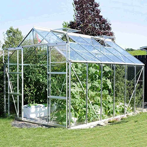 Vitavia Jupiter Greenhouse 8X12 3mm Toughened Glass Anodised Aluminium