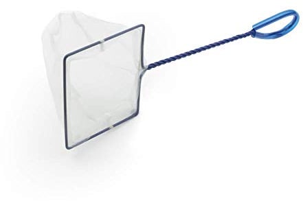 Interpet Fine Mesh Aquarium Fish Tank Catch Net, Large, 5 x 6, blue|white|silver