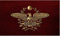 Bandera SPQR Imperio Romano, Águila Imperial, 150 x 90 cm, marrón