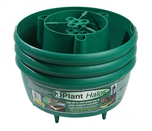 GARLAND PLANT HALOS (SET OF 3) GREEN
