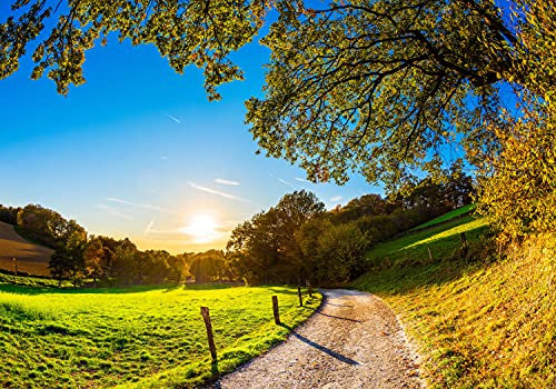 wandmotiv24 Fototapete Weg Feld Wiese, XL 350 x 245 cm - 7 Teile, Wanddeko, Wandbild, Wandtapete, Sonne Himmel Zaun Baum Wald M6747
