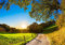 wandmotiv24 Fototapete Weg Feld Wiese, XL 350 x 245 cm - 7 Teile, Wanddeko, Wandbild, Wandtapete, Sonne Himmel Zaun Baum Wald M6747