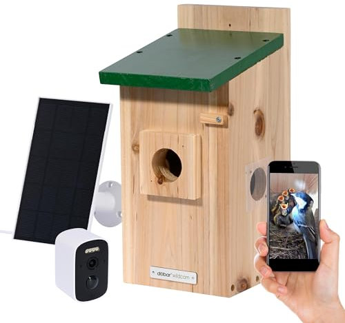 Luxus-VOGELHAUS Nistkasten Eazy mit WiFi Kamera und Solar Panel - Vogelbeobachtung mit Nisthilfe aus Holz und App - Ø 40 mm Einflugloch - Grün