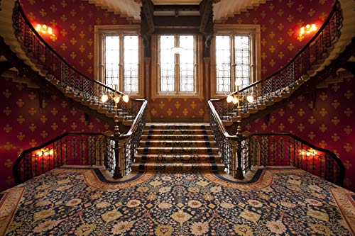 TREPPE Fototapete VLIES-450x280 cm (1041A)-Palast Schloss Tempel Malerei Vintage Muster Wandtapete-Inkl. Kleister-Vliestapete Bild Dekoration Wand-Dekor Moderne Motiv-Tapete Panorama Poster XXL