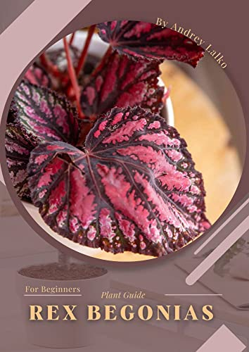 Rex Begonias: Plant Guide