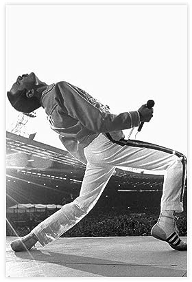 Freddie Mercury Musikposter 2 Leinwand Poster Wandkunst Dekor Druck Bild Gemälde für Wohnzimmer Schlafzimmer Dekoration ungerahmt 30 x 45 cm