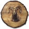 DARO Design Tableau mural Bélier Taille 30 cm – Impression d'art prête à accrocher – Décoration murale Thème chasse, nature, animaux
