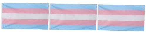 UPKOCH 3 Pezzi bandiera gay cucito OH orgoglio bandiera lesbica transgender bandiere all'aperto a tema striscione portatile banner decorativo all'aperto striscioni di carnevale poliestere