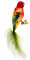 Hamburger WEIHNACHTSKONTOR® - Christbaumschmuck - Rosella Sittich