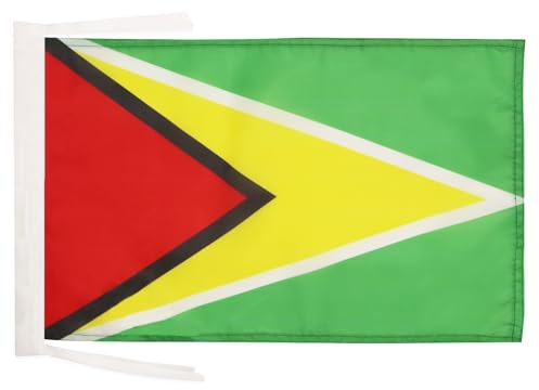 AZ FLAG Drapeau Guyana 45x30cm - PAVILLON guyanien 30 x 45 cm Haute qualité