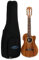 Lanikai ACSTCEG Ukulele