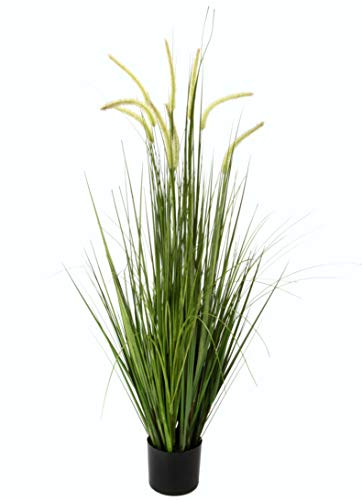 Künstliches Fuchsschwanzgras im Topf Gras Kunstpflanze Kunstgras Ziergras Grünpflanzen Dekogras Grasbüschel Ziergras Solitärgras Deko Grasarrangement Borstenhirse Panicoideae Süßgräser Setaria