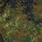 TOLKO Bundeswehr Camouflage Stoff aus Nylon | dünn wie Futterstoff | Farbecht blickdicht UV-beständig | leichte Popeline Tarnstoff Armee Flecktarn Stoffe zum Nähen Meterware 150cm breit (leicht)