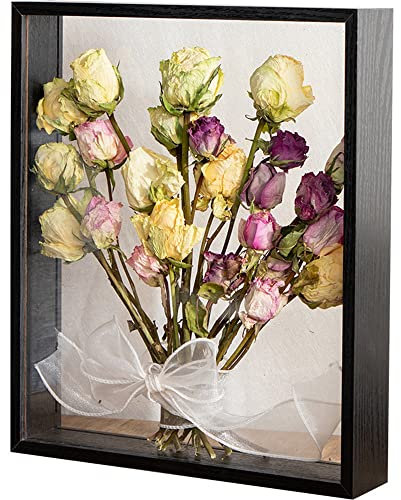 NatureMan Fotorahmen aus Holz, getrocknete Blumen, dekorativer schwebender Bilderrahmen, doppelseitiges Glas, für getrocknete Blumen, Kunsthandwerk (schwarz, 20,3 x 30,5 cm)