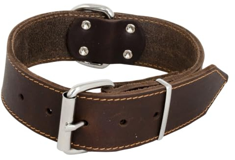 Jack and Vanilla – Großes Hundehalsband aus Fettleder – für mittelgroße bis große Hunde – solide, langlebig, weich im Griff – moderner Look – braune Farbe, Größe 30 mm x 40 cm