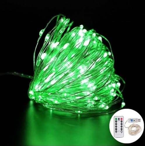 Volunx USB Green Fairy Lights 2/5/10m Copper USB Plug in, String Light 8 Modes Copper Wire String Lights Remote Timer, Twinkle Firefly Bedroom Party Night Room Decorations Xmas (2m / 20LED)