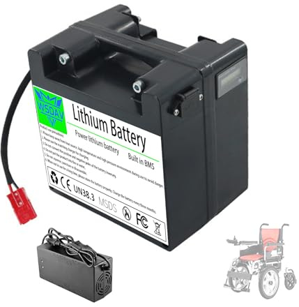 WSDAV Electric Wheelchair Battery 24V 15AH 20AH 25AH 30AH 40AH 50AH 60AH Lithium LiFePO4 Battery with Charger Built-in BMS Board,24V40AH