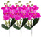 HAOSHICS Künstliche Phalaenopsis-Blumen, künstliche Orchideen, fühlt sich echt an, für Tischdekoration, Zuhause, Hochzeit, Party, Dekoration, 3 Stück