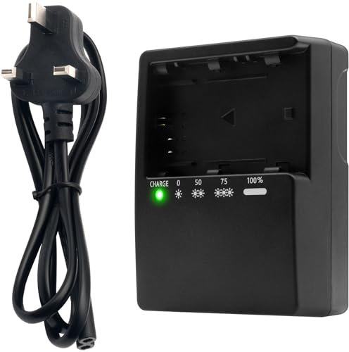 LP-E6 Cameras Charger for Canon LP-E6 LP-E6N LP-E6NH LC-E6 LC-E6E Battery EOS 90D 80D 70D 60D 60DA 7D Mark II 7D 6D Mark II 6D 5D Mark IV 5D Mark III 5D Mark II 5Ds 5DSR EOS R5 R5 C R6 R6 MarkII R7