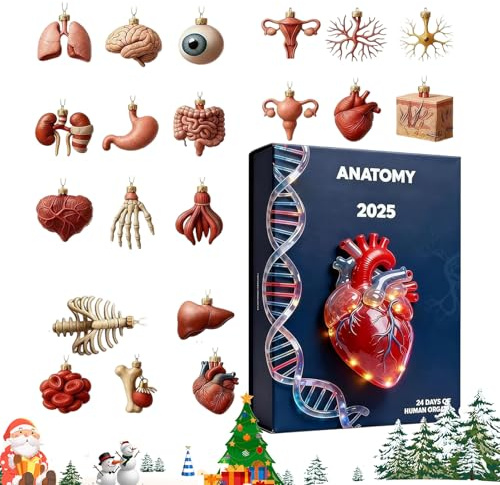 Ahuuen Advent Anatomy Calendar, Christmas 24 Day 2D Acrylic Pendant Funny Human Anatomy Miniatures, for Home Office School Classroom Labs Science Lovers Nurses Teachers Students