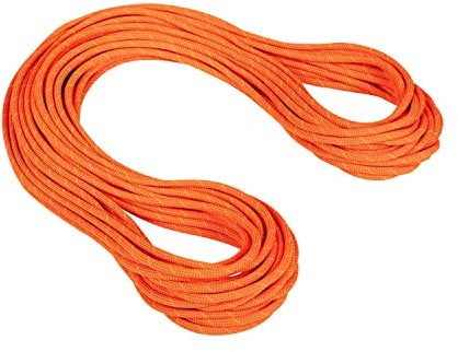 Mammut 9.8 Crag Dry Einfachseil