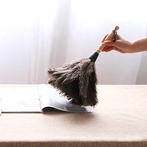 Feather Duster, Anti-static Duster, Ostrich Feather Reusable Wooden Handle Ostrich Dust Removal Tool
