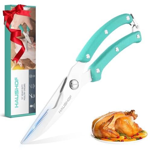 HAUSHOF Geflügelschere 255 mm, robuste scharfe Küchenschere aus Edelstahl, Fleischschere für Fleisch, Huhn, Fisch, Knochen, Gemüse