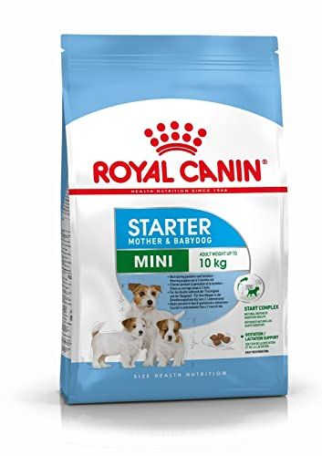 Royal Canin Mini Starter Mother & Babydog | 4 kg | Alleinfuttermittel für kleine Hunde | Trockenfutter für Hündinnen im letzten Drittel der Trächtigkeit und während der Säugezeit