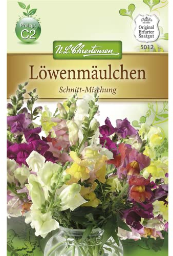 Chrestensen Löwenmäulchen 'Schnitt-Mischung'