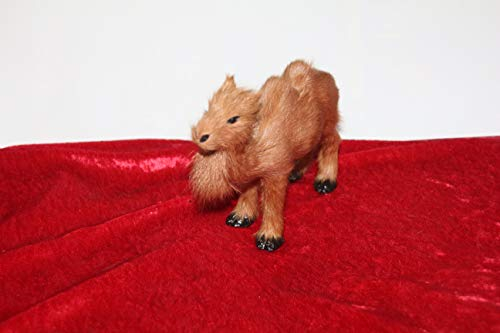 adam Krippen Figuren, Kamel, Höhe 12 cm für Figurengröße 12-15 cm