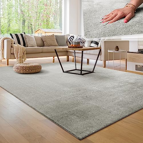 Paco Home Tapis Moderne Doux Salon À Poils Courts Lavable Fluffy Uni Effet Fourrure Intemporel Élégant Antidérapant Facile À Entretenir, Dimension:120x170 cm, Couleur:Argent