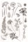 Silikonstempel Blätter Kreis Feder und Löwenzahn Set,1 Blätter Clear Stamps Blumen,Tiere Thema Clear Stempel Silikon Set für DIY Bullet Journal Scrapbooking Fotoalbum Geburtstag Stempelset