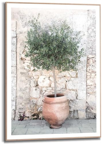 REINDERS Gerahmtes Bild, Olivenbaum, Wohnzimmer, Poster, Wanddeko, Room Decor, MDF, Grün, 70x50cm
