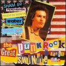 The Great Punk Rock Swindle