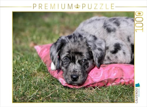 CALVENDO Puzzle Australian Shepherd Mischlingswelpe | 1000 Teile Lege-Größe 64 x 48 cm Foto-Puzzle für glückliche Stunden