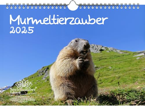 Murmeltierzauber DIN A4 Kalender für 2025 Murmeltier - Geschenkset Inhalt: 1x Kalender, 1x Weihnachtskarte (insgesamt 2 Teile)