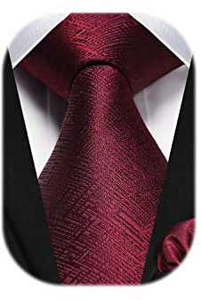 HISDERN Krawatten für Herren Burgund Klassisch Hochzeit Krawatte mit Einstecktuch Formelle Business Schlips Elegant Party