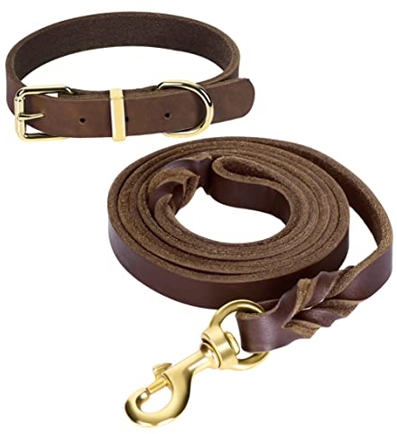Guiding Star 1.5 m Leder-Hundeleine und Halsband-Set, weiches geflochtenes Leder, 1.5 m mit verstellbarem Hundehalsband, Set für kleine, mittelgroße und große Hunde