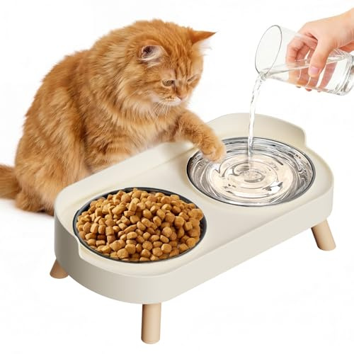 fanado Raised Cat Bowl, Elevated Cat Food and Water Bowl Set for Indoor Cats, Splash Proof with 2 Stainless Steel Pet food Bowls for Cats and Puppies, Whisker Fatigue and Dishwasher Safe - White