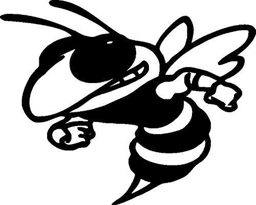 NetSpares Plott Aufkleber Killer Biene Bee Sticker Shocker Tuning Autoaufkleber Fun