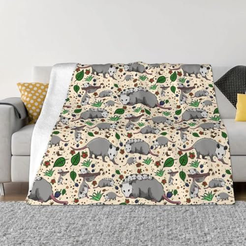 SJSXWQN Couverture Polaire 100 x 130 cm Souris Grise Plaid Polaire Plaid Canape en Flanelle Doux et Chaude Couverture 1 Personne pour Lit Jeté de Canapé, Pique Nique