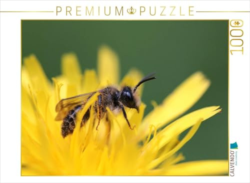 CALVENDO Puzzle EIN Motiv aus dem Kalender Bienen - Fleißige Gartenbewohner | 1000 Teile Lege-Größe 64 x 48 cm Foto-Puzzle für glückliche Stunden