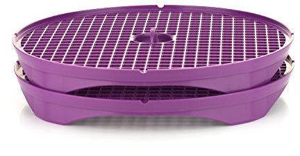 Börner Crispymaker (2er Set/Violett) • Chips Macher für die Mikrowelle • Chip Maker für kalorienarme Chips ohne Fett • Frische Chips selber machen • Kartoffelchips & Gemüsechips Maker