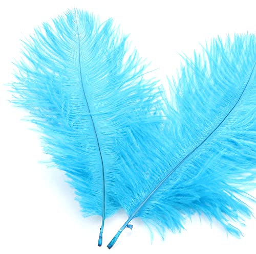 10 Stück 15-20cm Natürliche Straußenfedern,Strauß Feder zum Basteln,Bastel Federn für DIY Traumfänger Zubehör,Heimdekoration,KostüMe,Tischdeko Hochzeit Party Fest Hüte Kleidung Dekoration,Blau