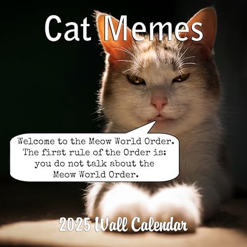 Katzen Kalender (2025 Cat Memes)