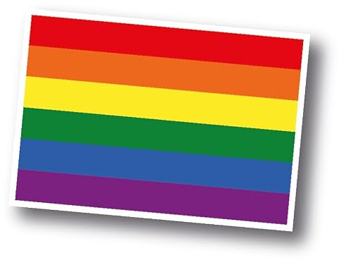 100 Aufkleber Regenbogenfahne Sticker I 7 x 5 cm | Regenbogen Sticker I LGBTQ I queer I CSD I Christopher Street day I peace I Pride