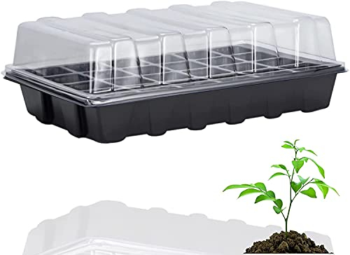 Set di 3 propagatori, 27 x 19 cm, mini serre indoor con contenitore e vassoio per propagatori (3)