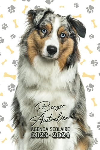 Agenda scolaire 2023-2024 Berger australien: Chien de race Berger australien | Rentrée 2023 : collège, lycée, étudiant | 2 jours par page | Original | Animaux | Amoureux des chiens