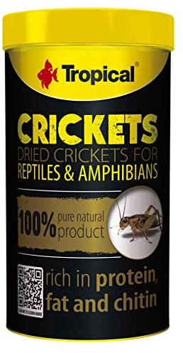 Tropical Crickets - 100 ml